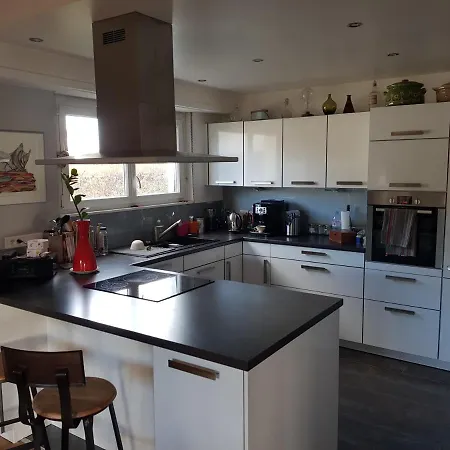 Joli Calme Et Spacieux, Proche Strasbourg