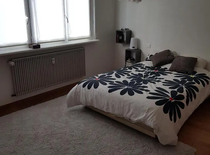 Joli Calme Et Spacieux, Proche Strasbourg * Duppigheim